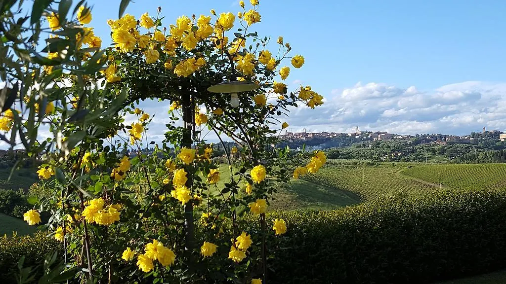 Aia Mattonata Relais Bed and Breakfast Siena
