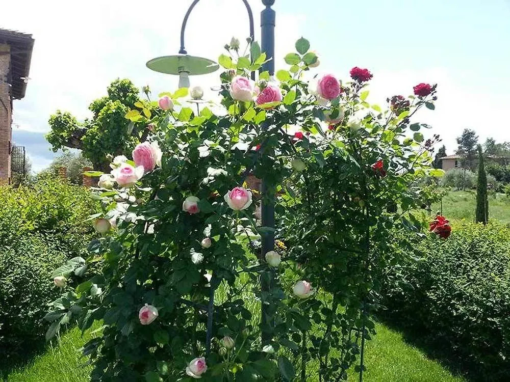 Bed and Breakfast Aia Mattonata Relais Сиена Отель типа 